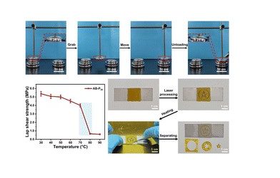 Thermoreversible adhesives with precisely temperature-controlled detachment enabled by temperature-responsive crystalline domains