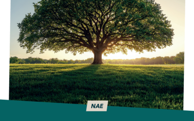 Les PME et ETI membres de NAE confirment leur engagement croissant en matière de RSE (Responsabilité Sociétale des Entreprises)