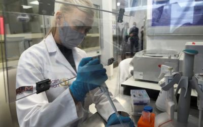 Stellantis, Safran, L’Oréal, Orange : les champions français des demandes de brevets par secteur