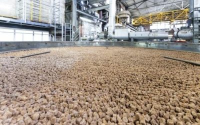 BASF inaugure la première usine au monde dédiée à la production de catalyseurs imprimés en 3D