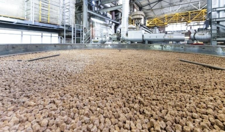 BASF inaugure la première usine au monde dédiée à la production de catalyseurs imprimés en 3D