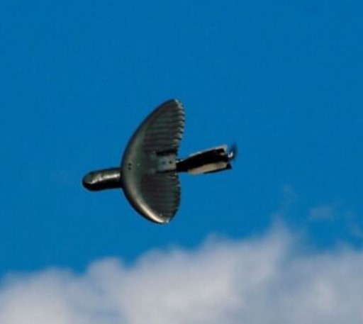 U.S. intelligence agency launches biodegradable drone research